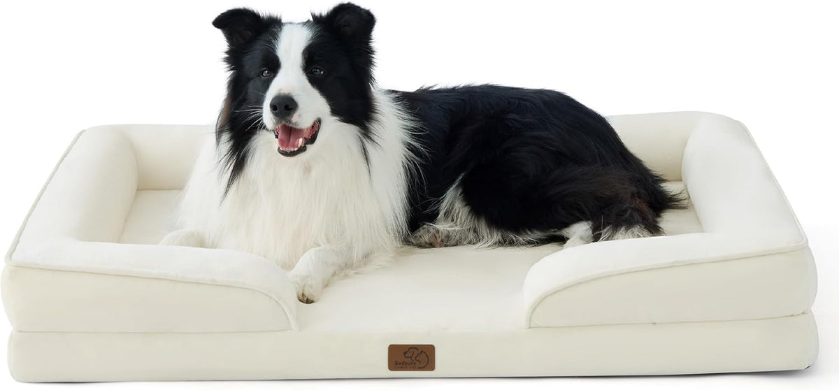 Black-and-white dog lying comfortably in a cream rectangular bolstered dog bed shown against white.