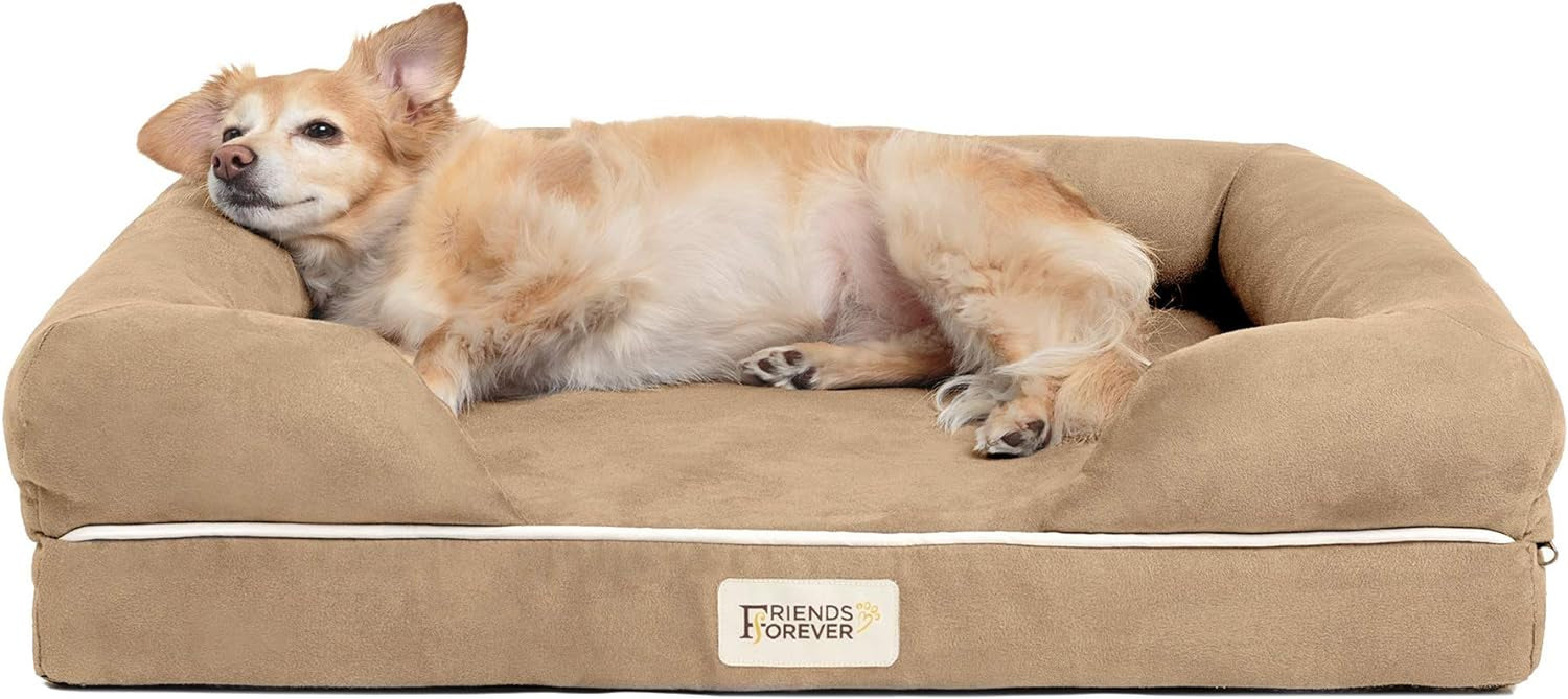 Low front view of a tan bolster dog couch with a small light‑colored dog lounging on the sleep surface