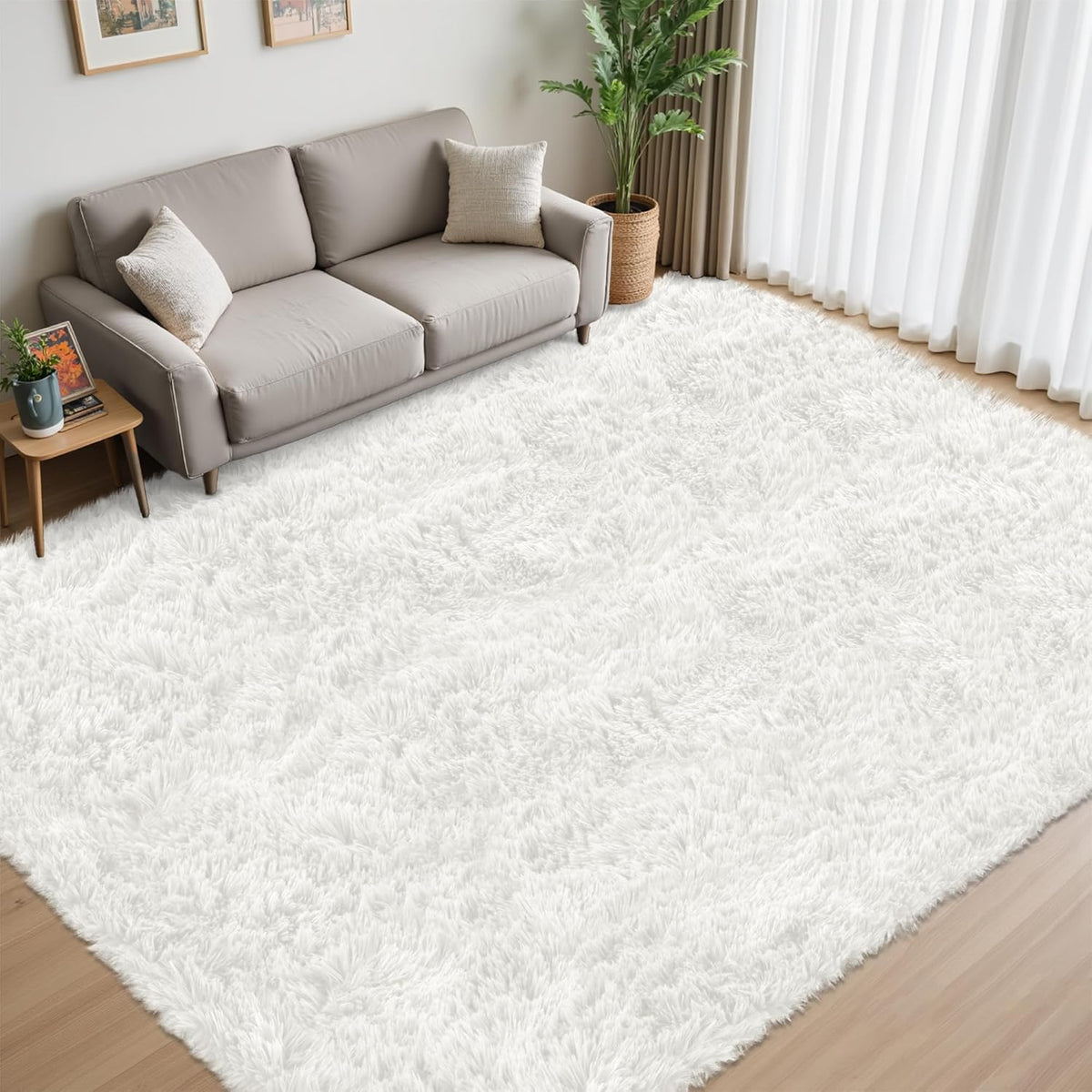 Bright living room with a gray sofa and large white shag rug on wood floors near sheer curtains.