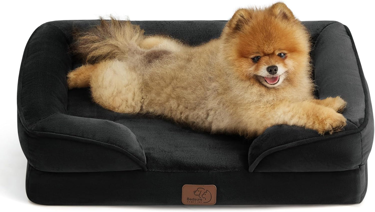 Front view of a black bolster bed with a fluffy Pomeranian sprawled across the sleeping surface.