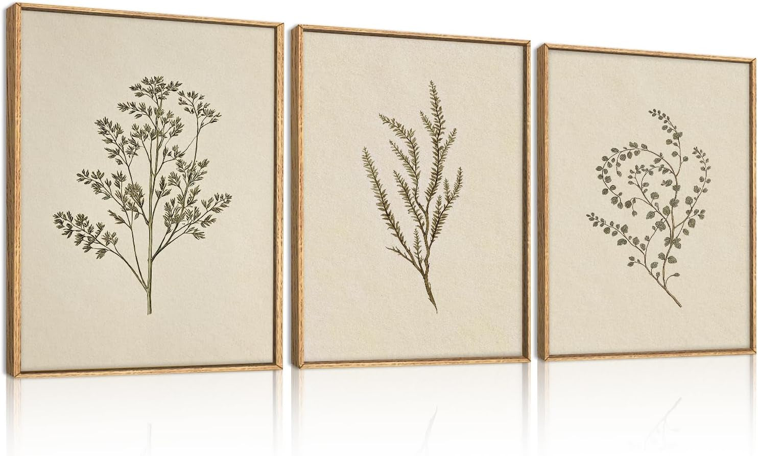Three vertical framed botanical prints with simple twig-and-leaf drawings on a neutral background.