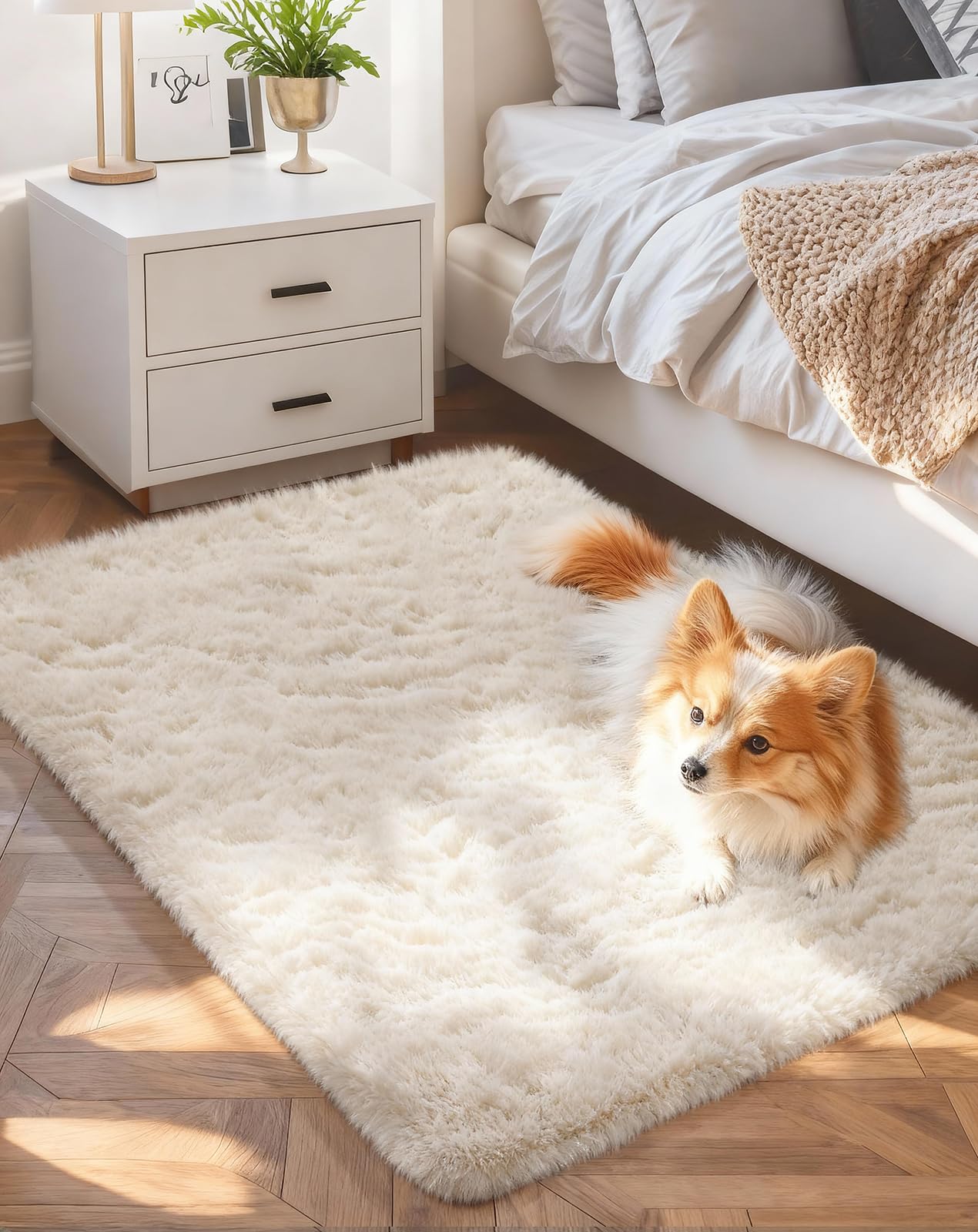 Cream rectangular shag rug beside a bed with a small fluffy tan-and-white dog lying on it