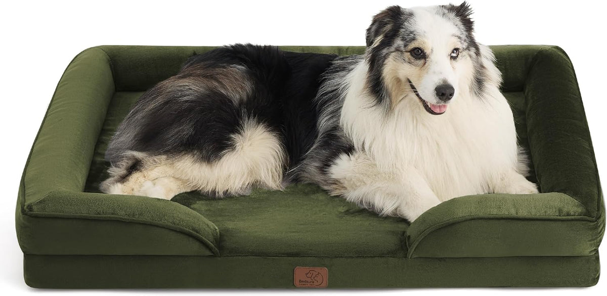 Olive green orthopedic dog bed with raised sides and a relaxed black-and-white dog inside