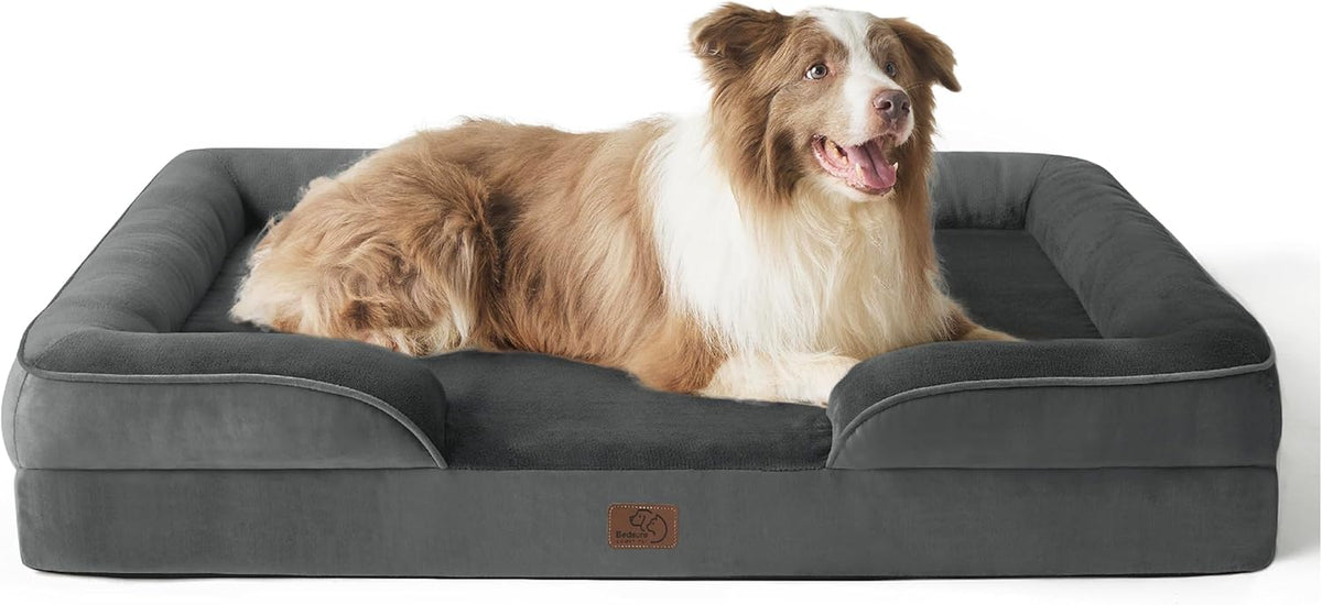 Large brown-and-white long-haired dog resting in a dark gray bolster-style dog bed