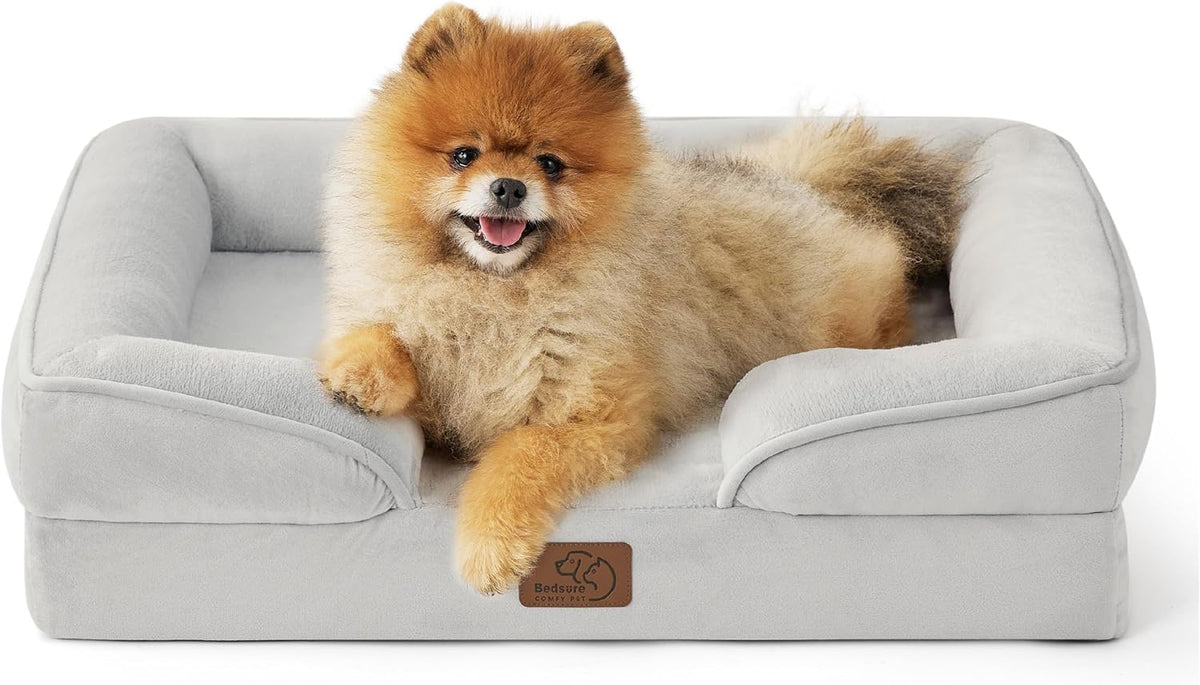 Small fluffy tan dog smiling while resting in a light gray bolstered rectangular dog bed