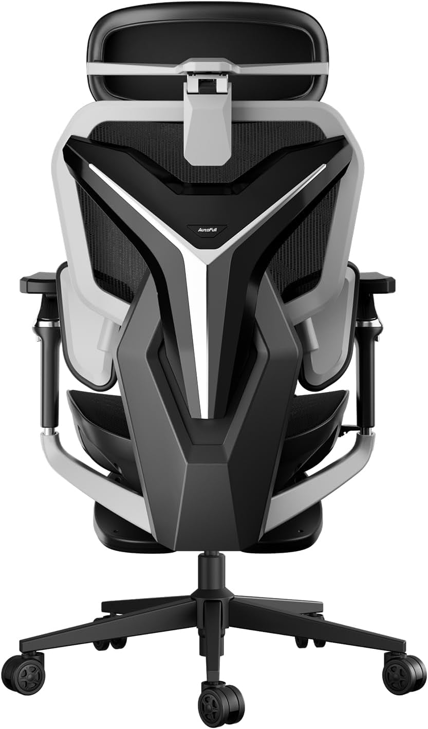 Rear view of a black and gray mesh ergonomic chair showing a molded backplate, headrest and five-star caster base.