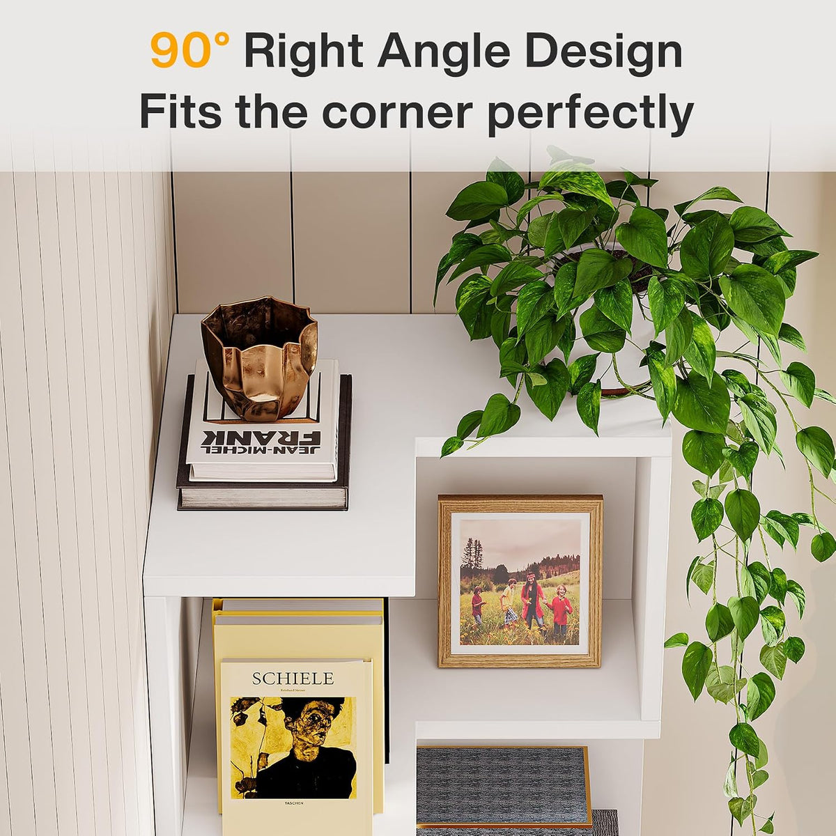 Top view of corner shelf showing right-angle top shelf with a plant and framed photo