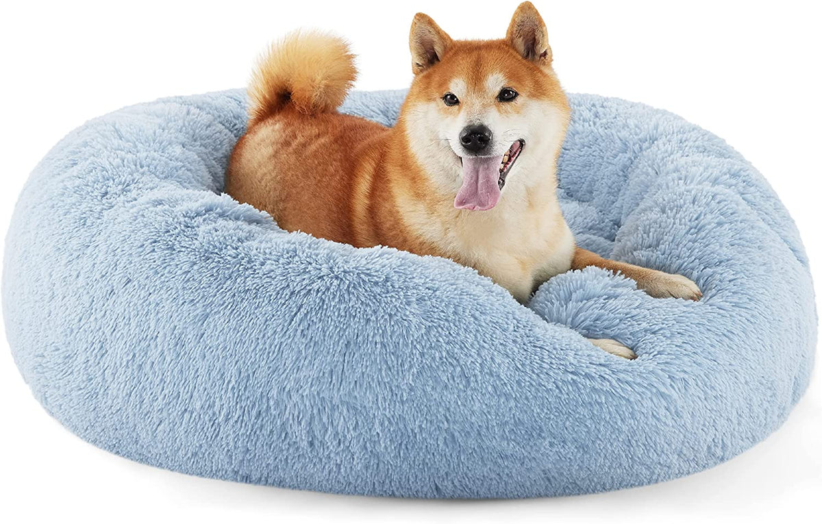 Light blue round fluffy donut pet bed with raised rim and a happy medium-size dog lying inside