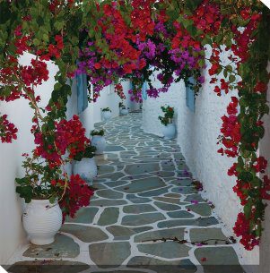 Bougainvillea Path Outdoor Canvas Wall Art