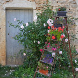 Vintage Ladder Outdoor Canvas Wall Art