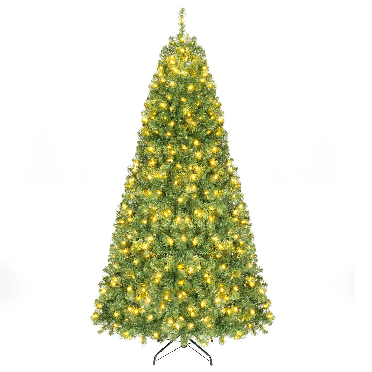 A full, unadorned green Christmas tree with warm lights stands against a white background.
