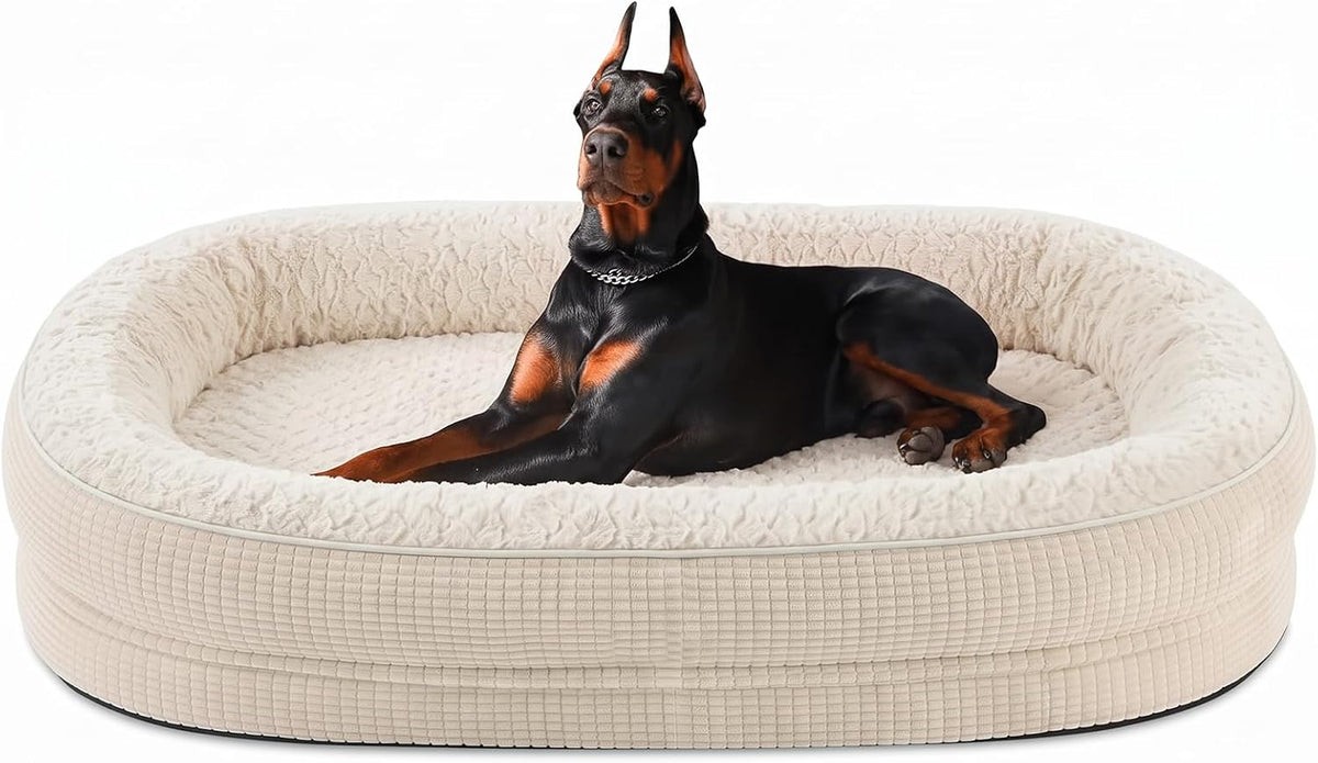 Black and tan Doberman sitting alert in a cream oval bolster dog bed, centered front view.