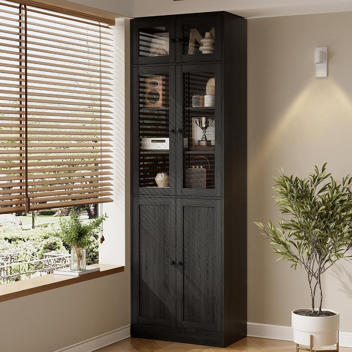 Side view of a black tall bookcase with glass doors beside a window and a potted plant.