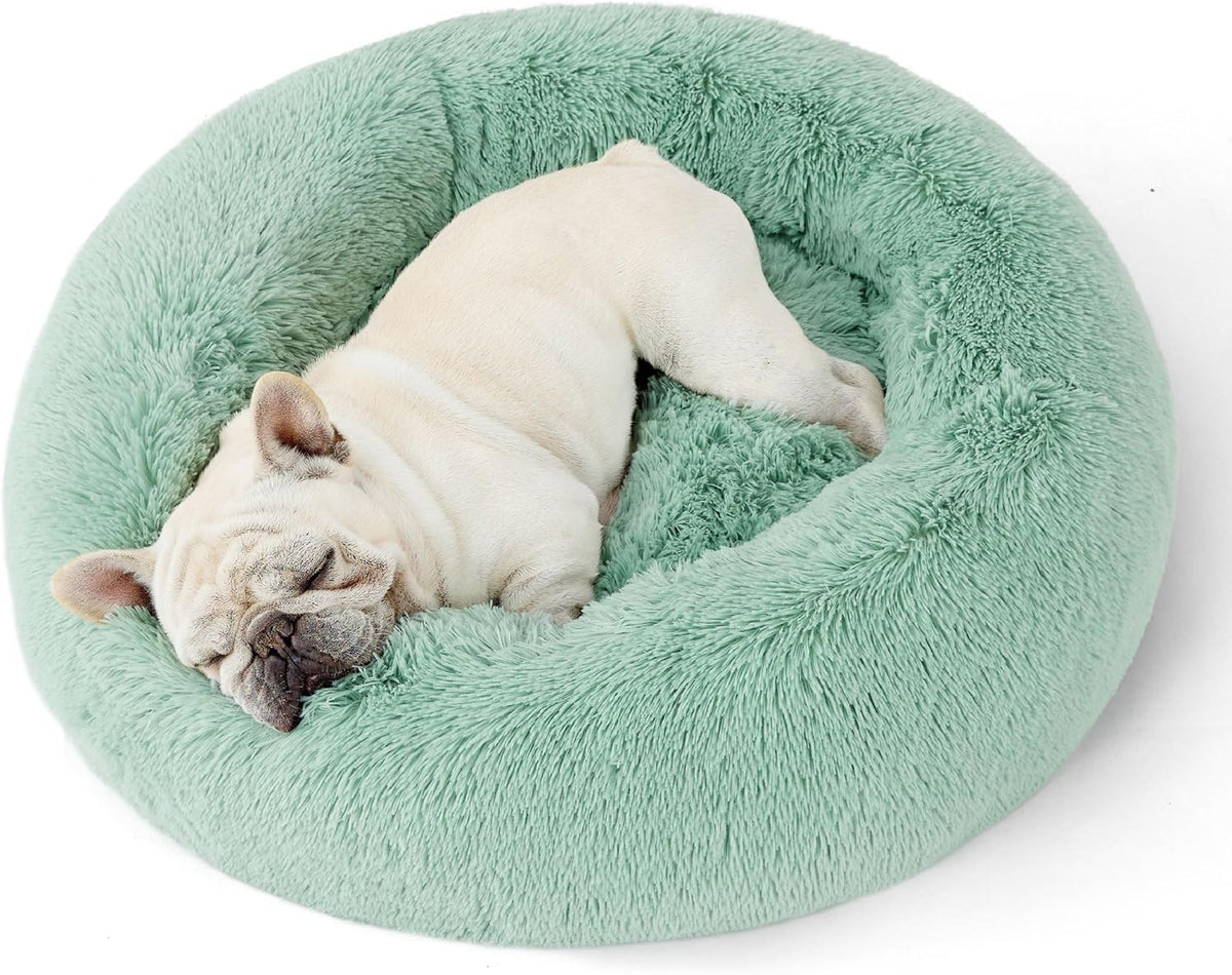 Top-down view of a mint-green round faux-fur donut dog bed with a sleeping small dog
