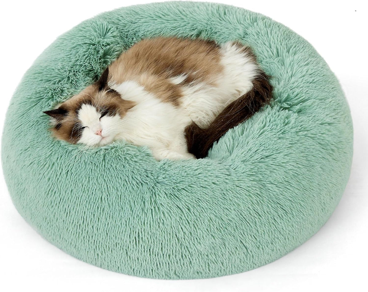 Top-down view of a mint-green fluffy round bed with a longhaired cat curled up sleeping