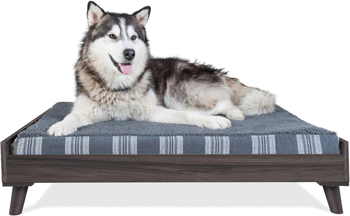 Low-profile dark gray wood dog bed frame with gray striped mattress and a husky reclining