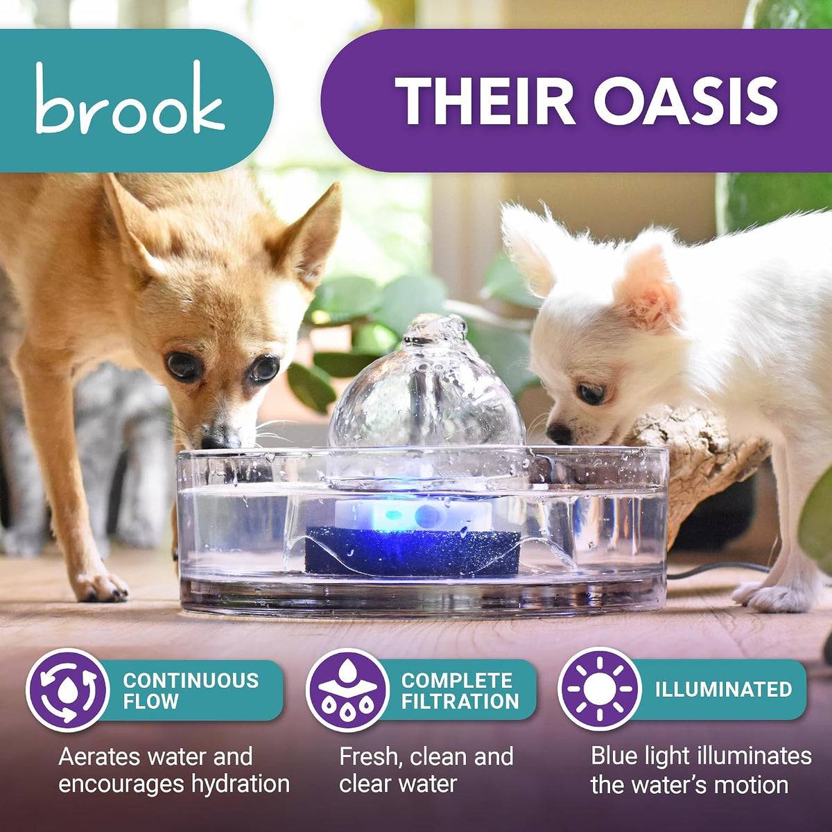 Clear glass fountain on floor with two small dogs drinking and blue LED light visible under the water