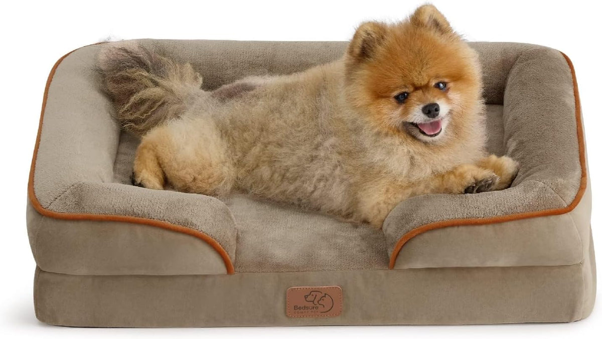 Small fluffy dog resting in a beige dog bed with tan piping around the bolsters