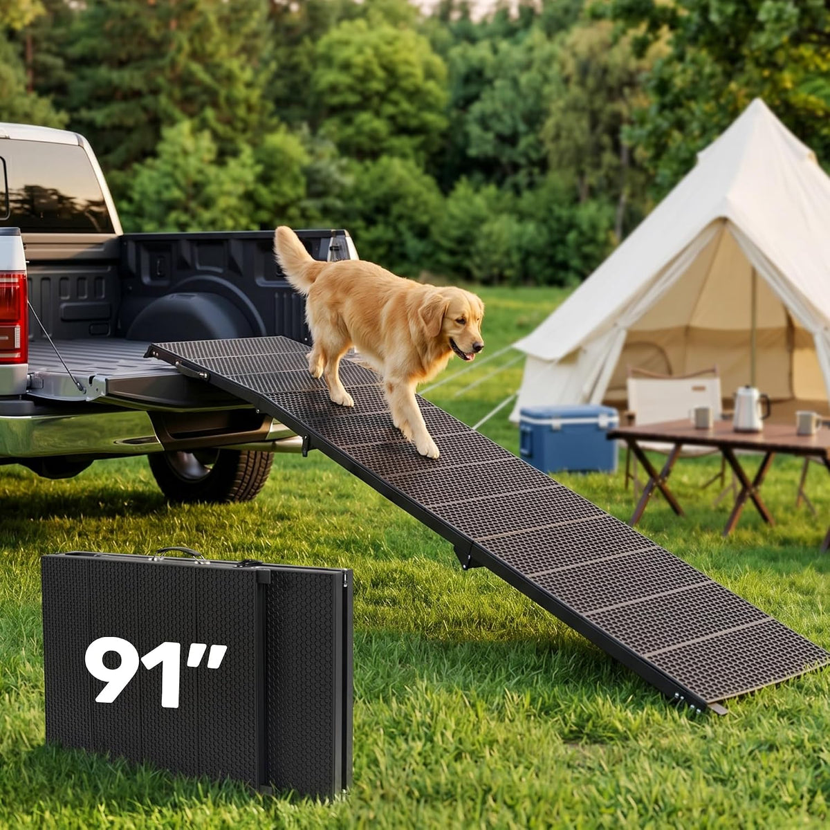 Black tri-fold dog ramp extended from a pickup truck tailgate with a golden retriever descending beside a folded ramp on the草