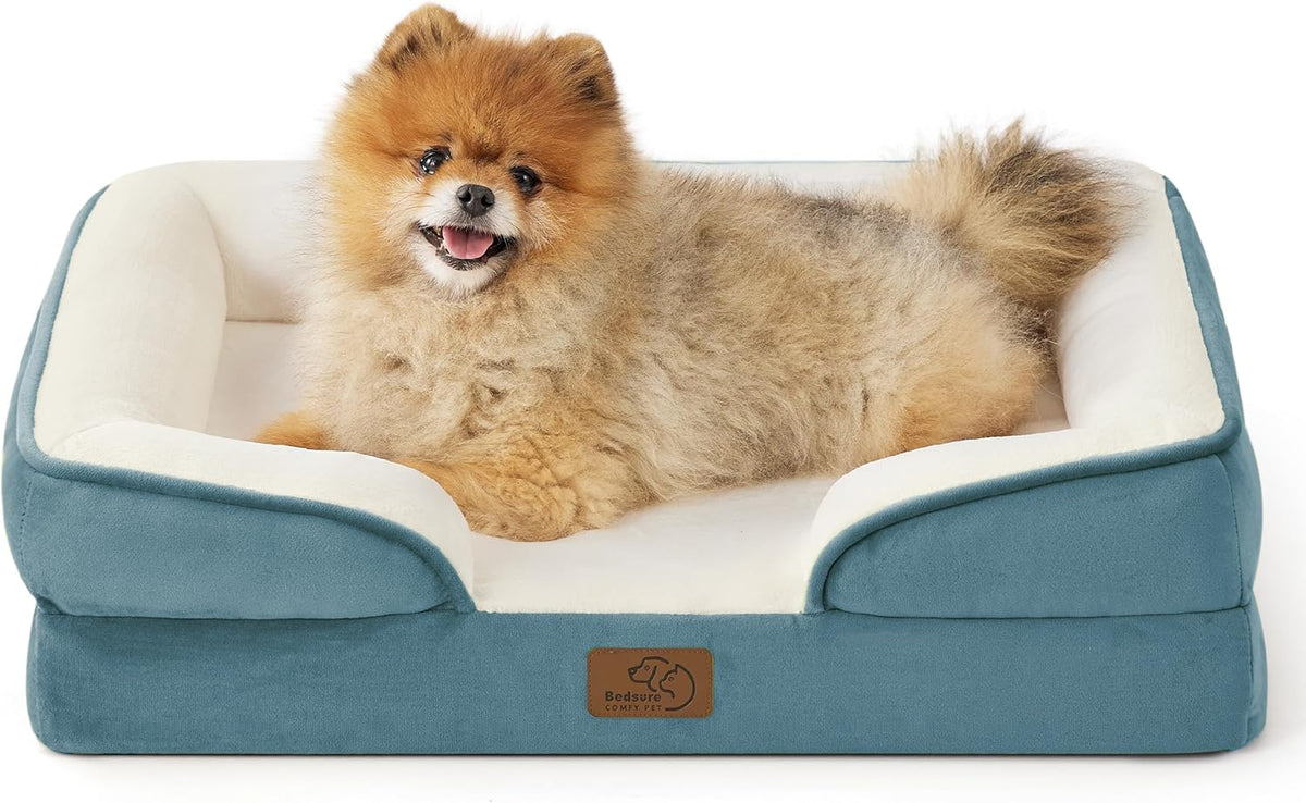 Small fluffy Pomeranian smiling while curled inside a teal bolster bed with cream interior.