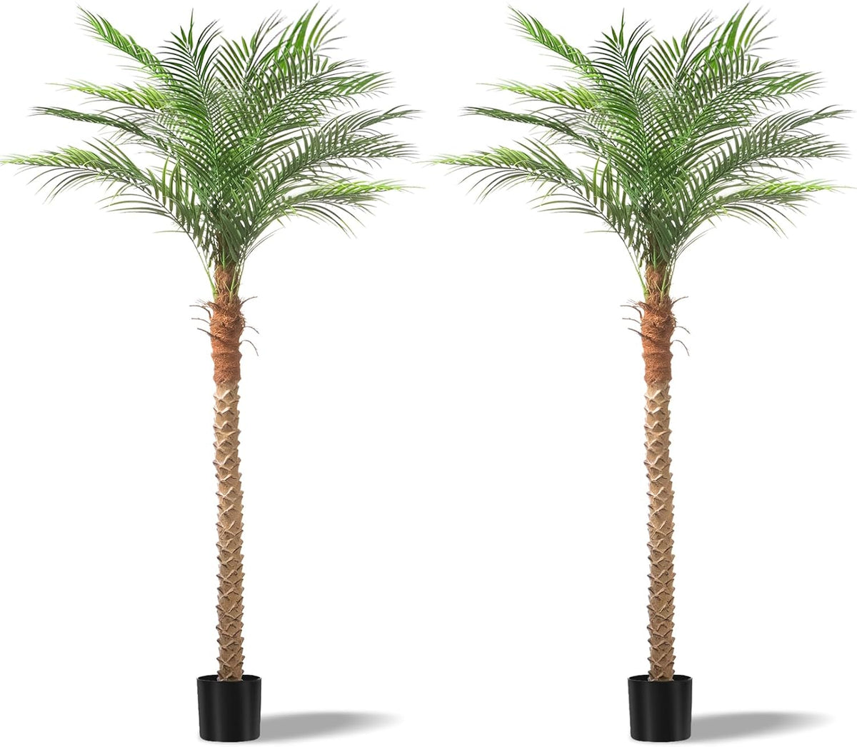 Two tall artificial palms with narrow textured trunks and wide green fronds, isolated on white with pots.