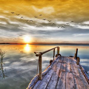 Still Standing Outdoor Canvas Wall Art