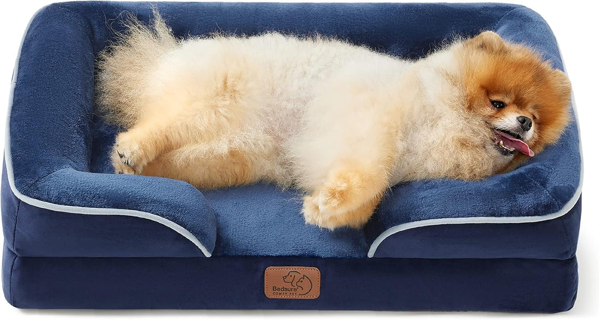 Small fluffy dog lying on a navy blue bolstered dog bed with white piping