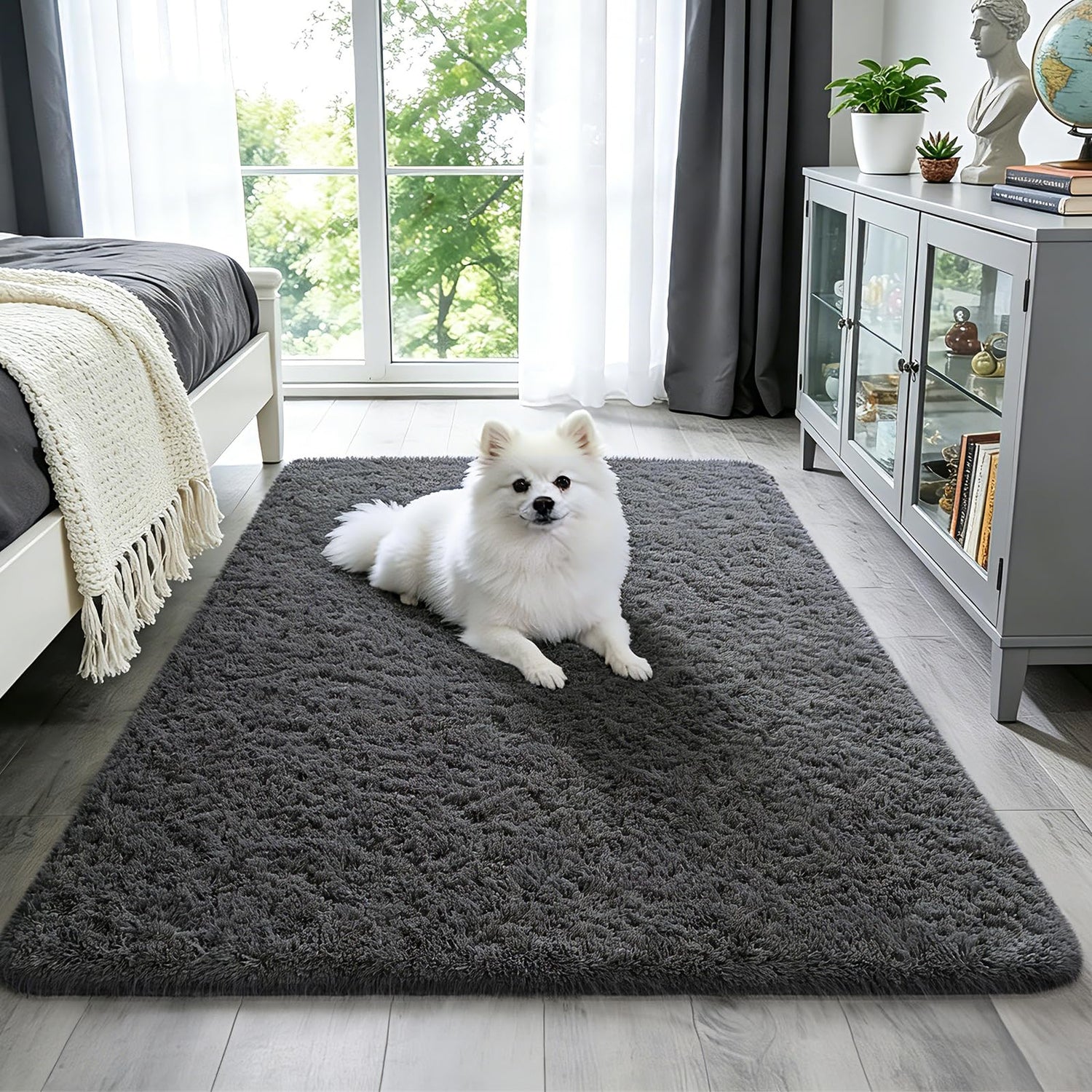 Square/rectangular gray shag rug in a bright bedroom with a small white dog lying on it