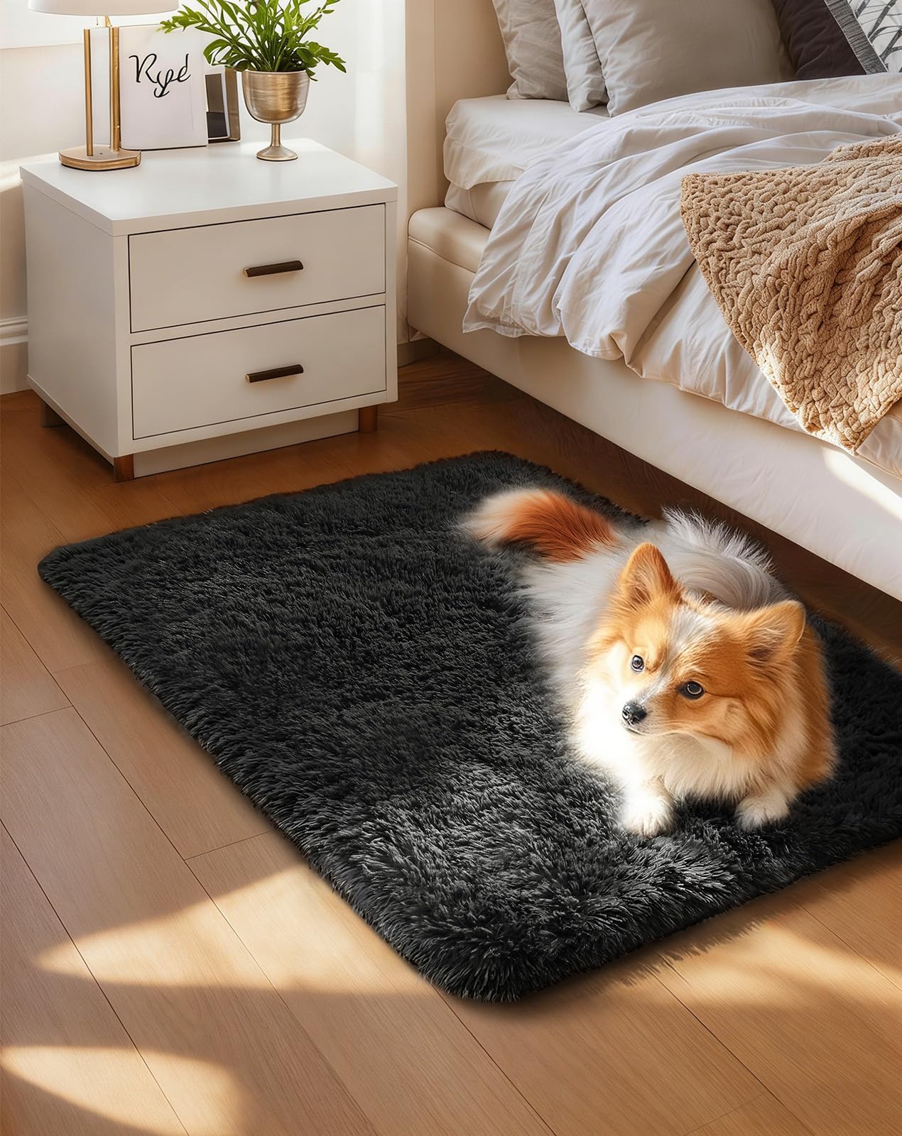 Ophanie Area Rugs for Bedroom Living Room