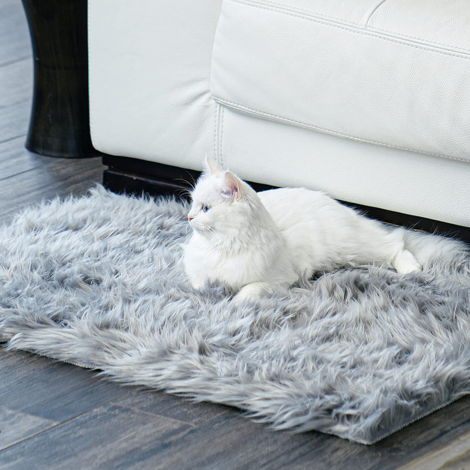 Ophanie Area Rugs for Bedroom Living Room