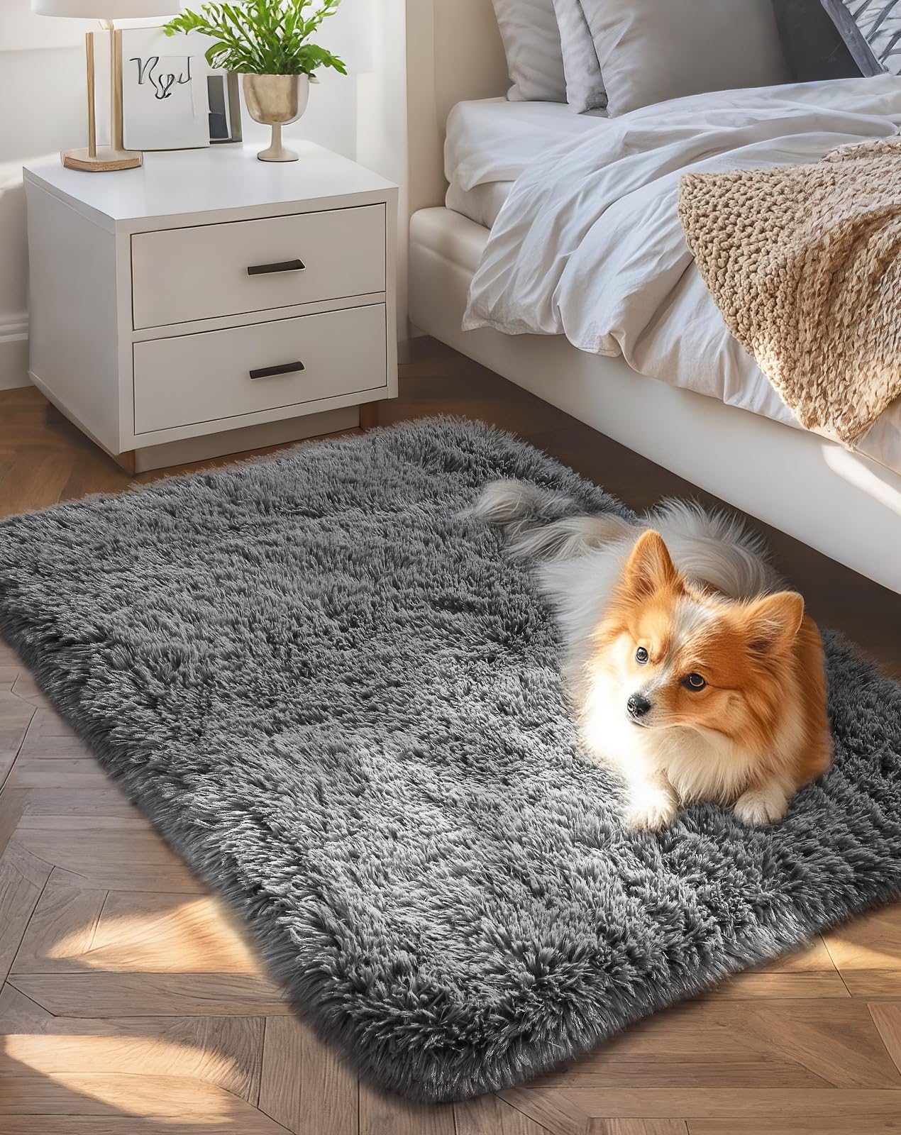 Small fluffy dark gray rug beside a bed with a small dog lying on it in sunlight.