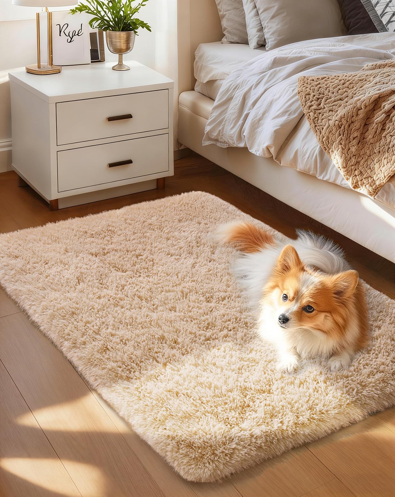 Ophanie Area Rugs for Bedroom Living Room