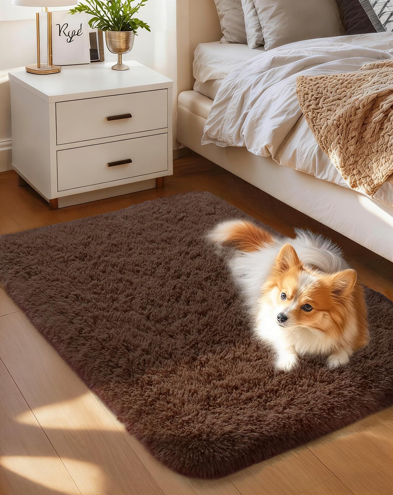 Ophanie Area Rugs for Bedroom Living Room