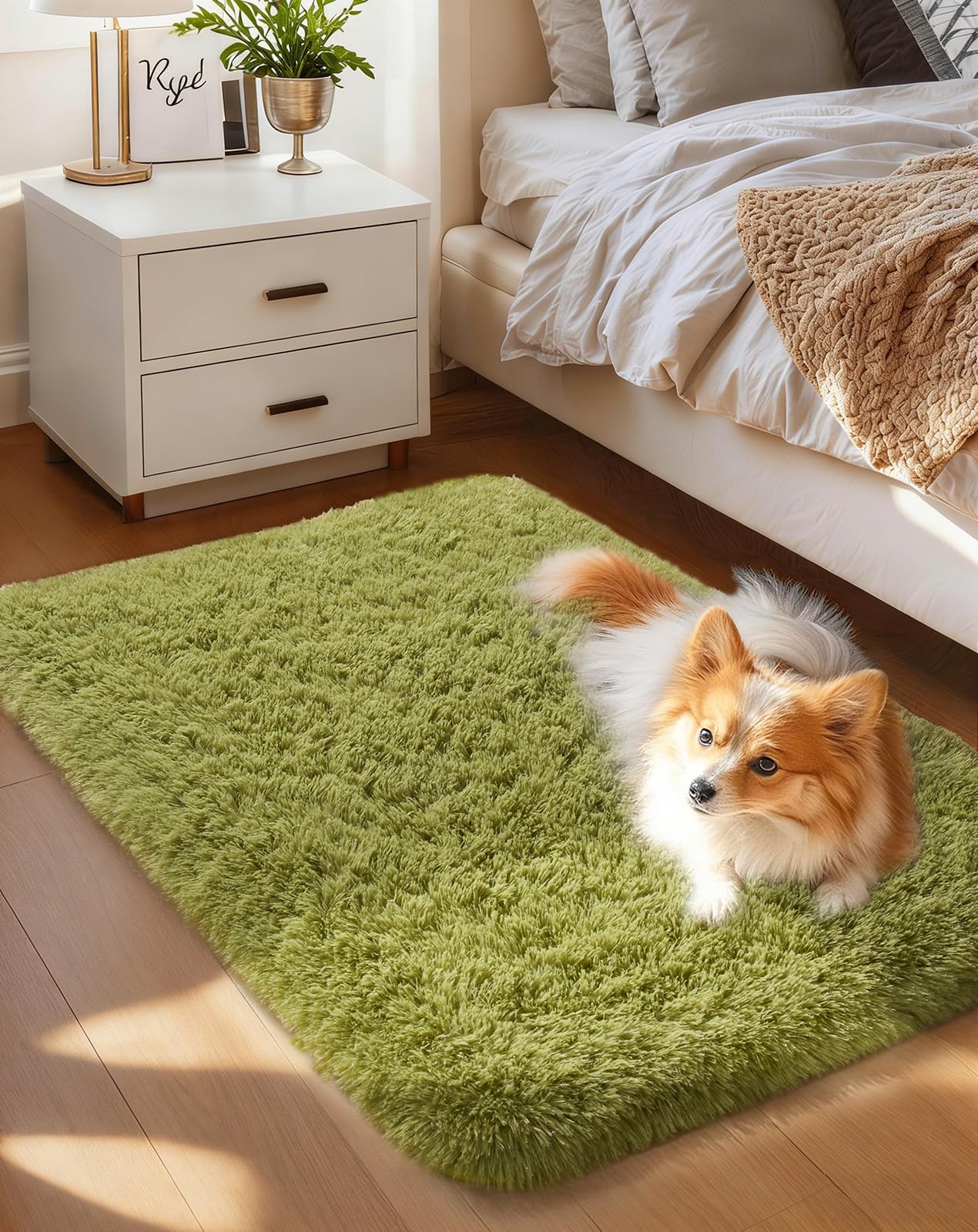 Ophanie Area Rugs for Bedroom Living Room