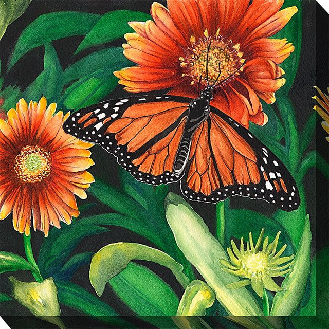 Monarch Outdoor Canvas Wall Art