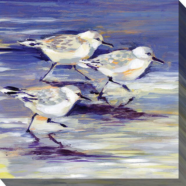Sandpipers Outdoor Canvas Wall Art