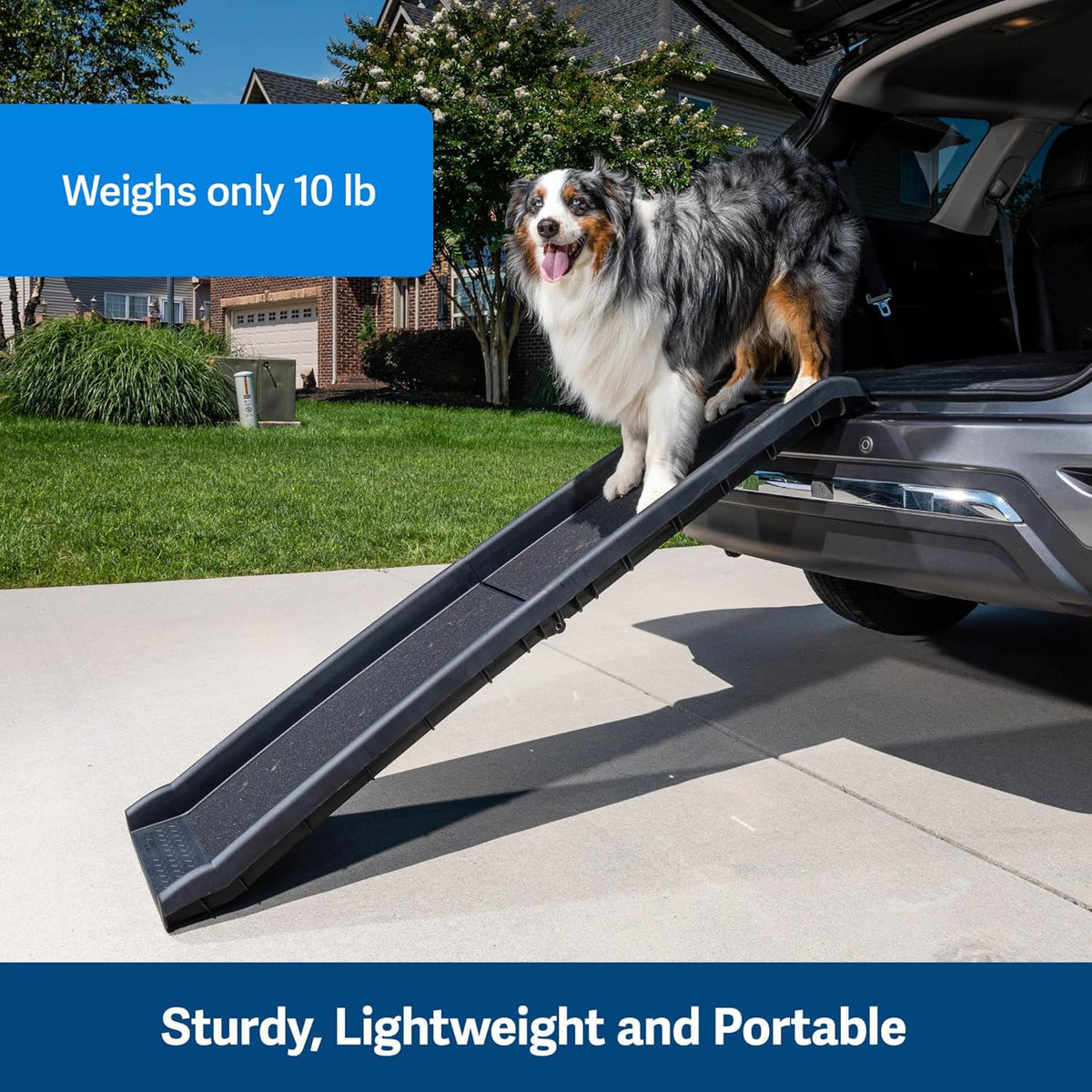 Black folding ramp in use with a dog walking up from an SUV trunk on a driveway
