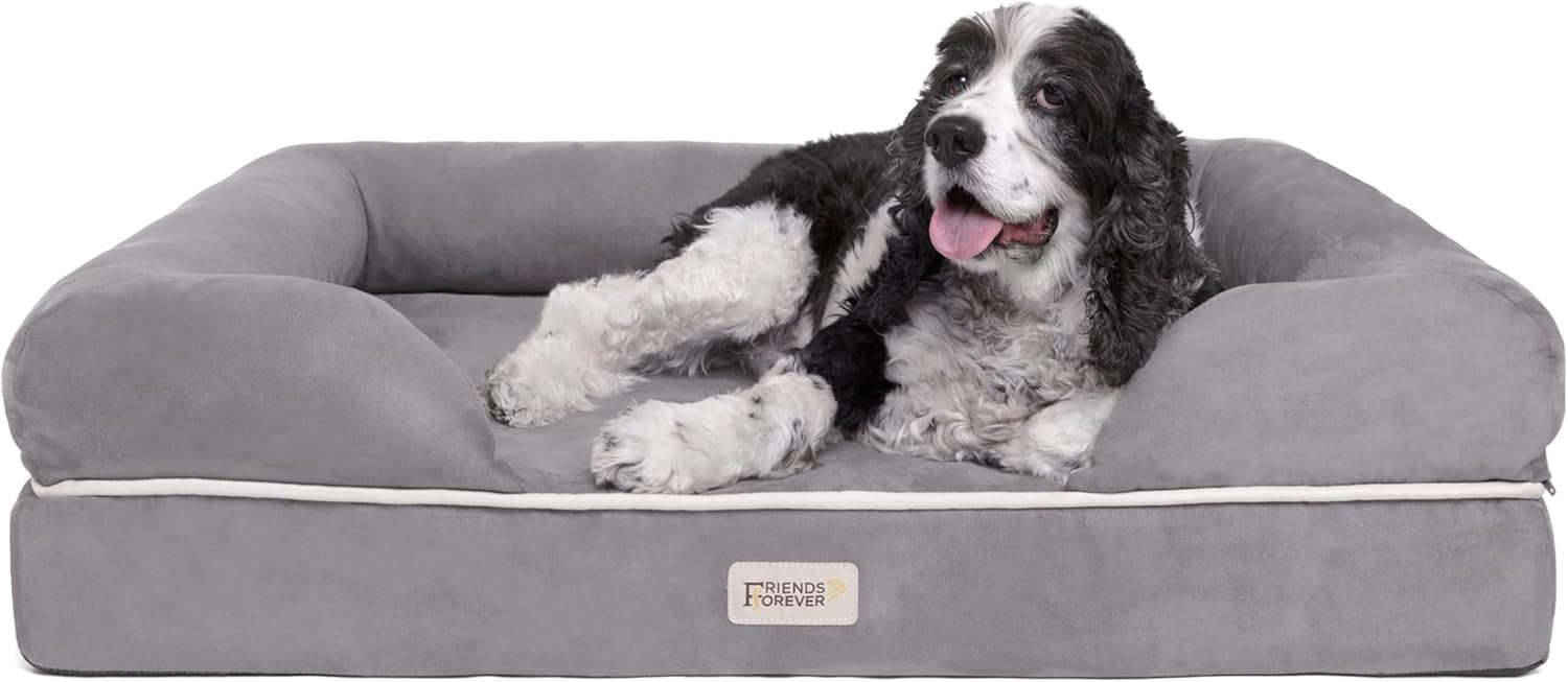 Grey bolster dog bed front view with a black-and-white spaniel reclining inside on a white background