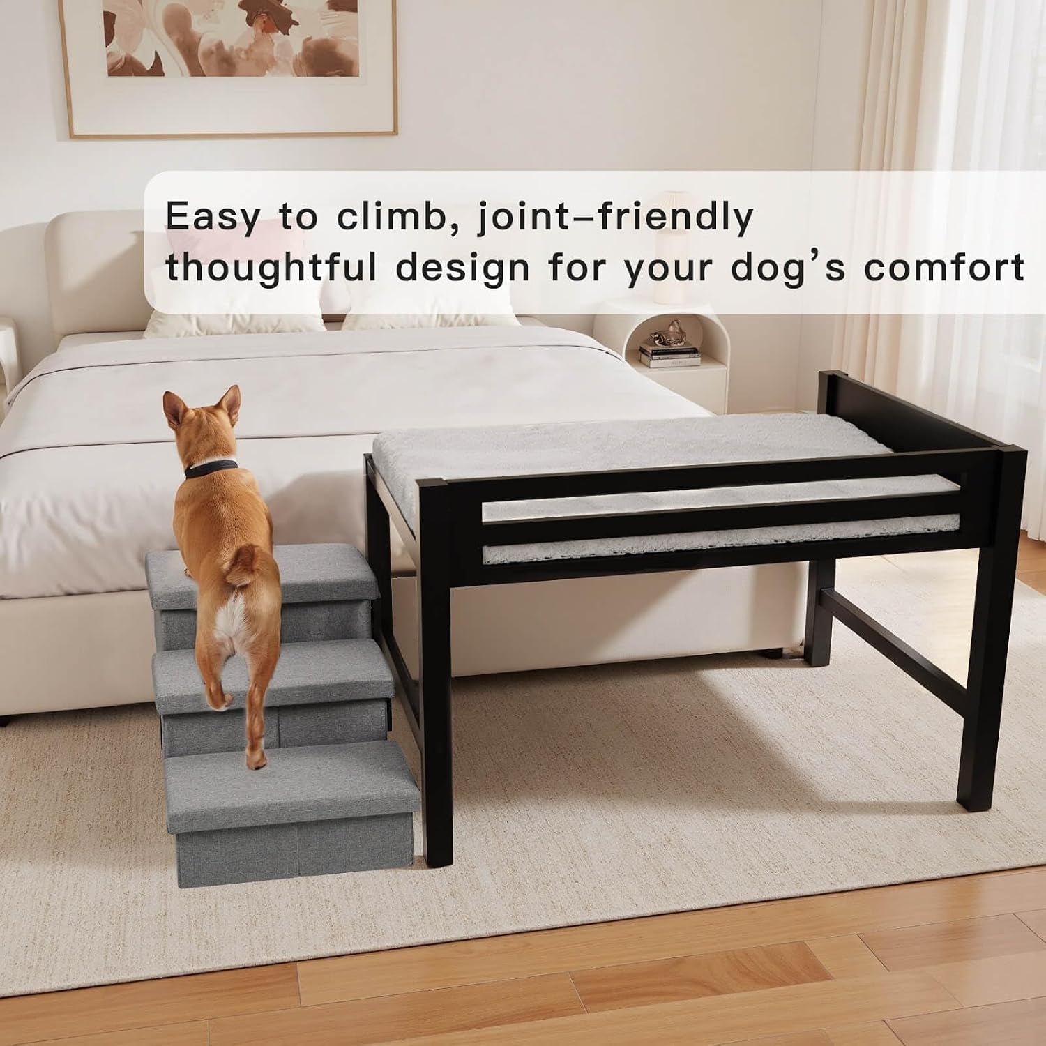 Small brown dog climbing gray three-step stairs up to a black wooden elevated pet bed placed next to a human bed.