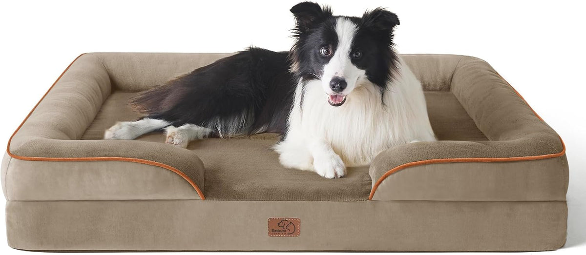 Front-facing tan/beige bolster bed with orange piping and a black-and-white border collie reclining inside.