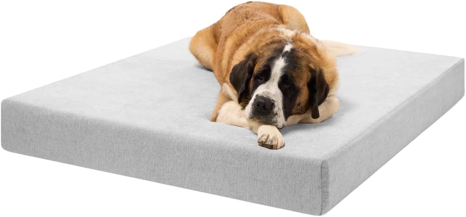 Light-gray rectangular dog mattress with a large Saint Bernard-style dog lying with its head on its paws.