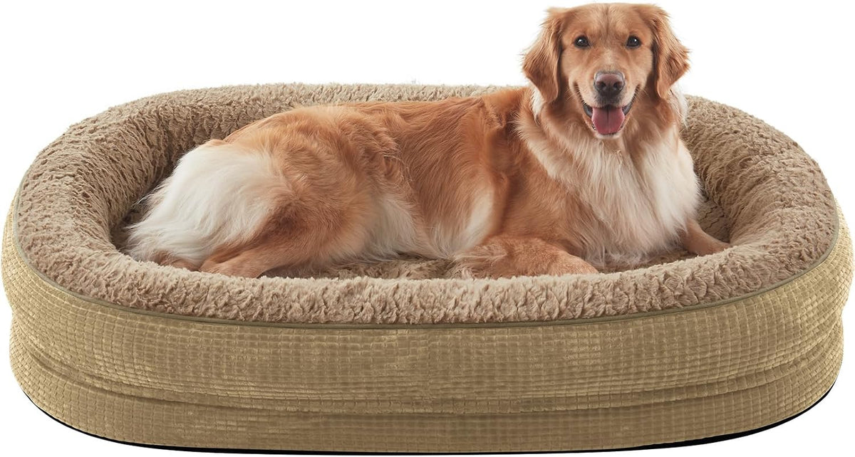 Golden retriever lying and looking at camera in a tan plush oval dog bed