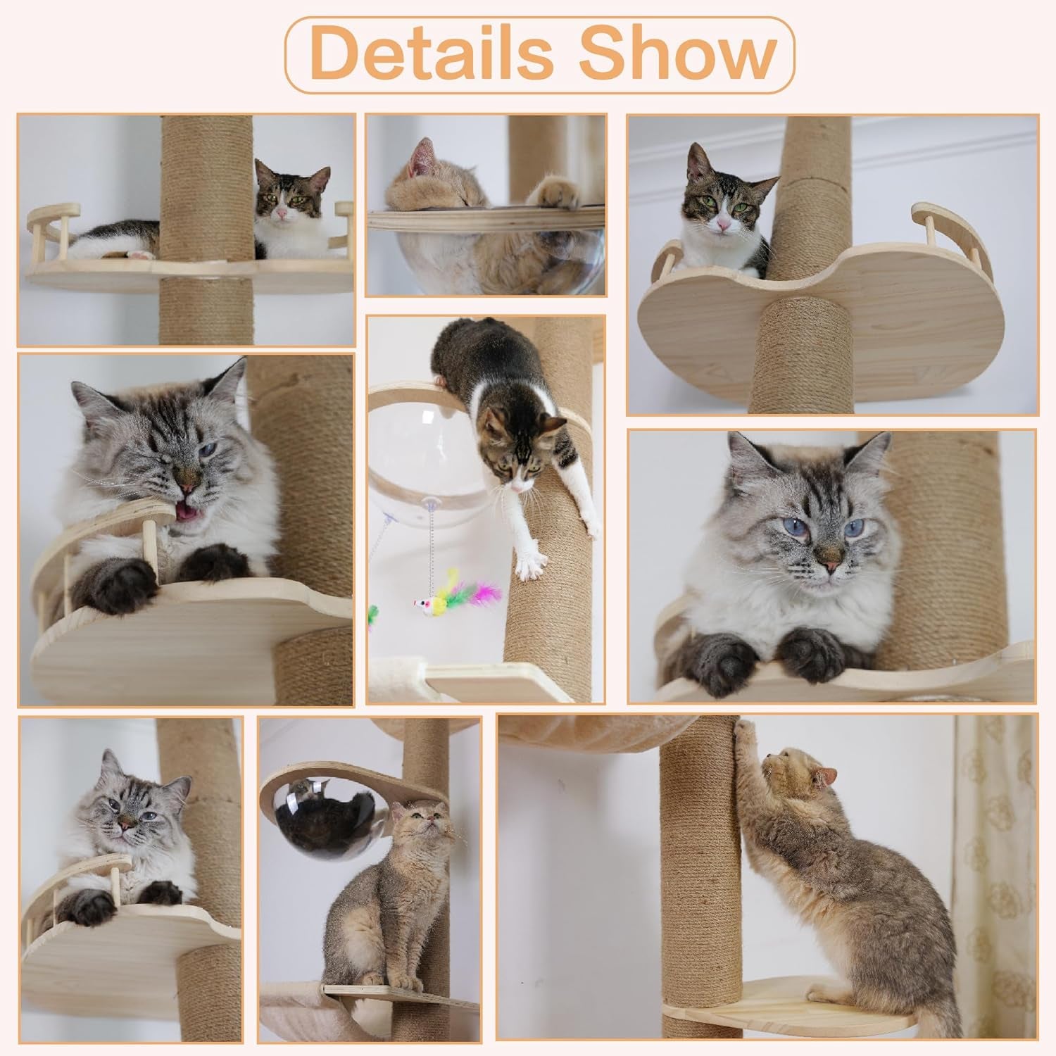 Collage of close-ups showing cats using platforms, the clear bubble bed and sisal scratching column.