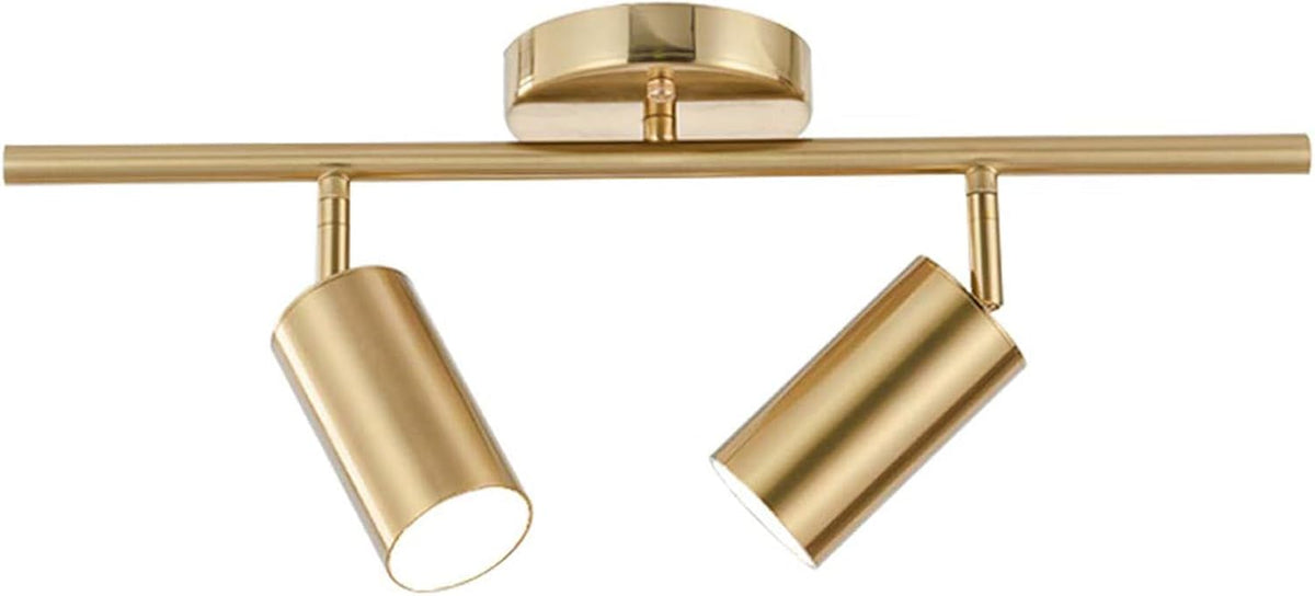 Gold finish 2-light track ceiling fixture close-up front angle showing two cylindrical adjustable spot heads