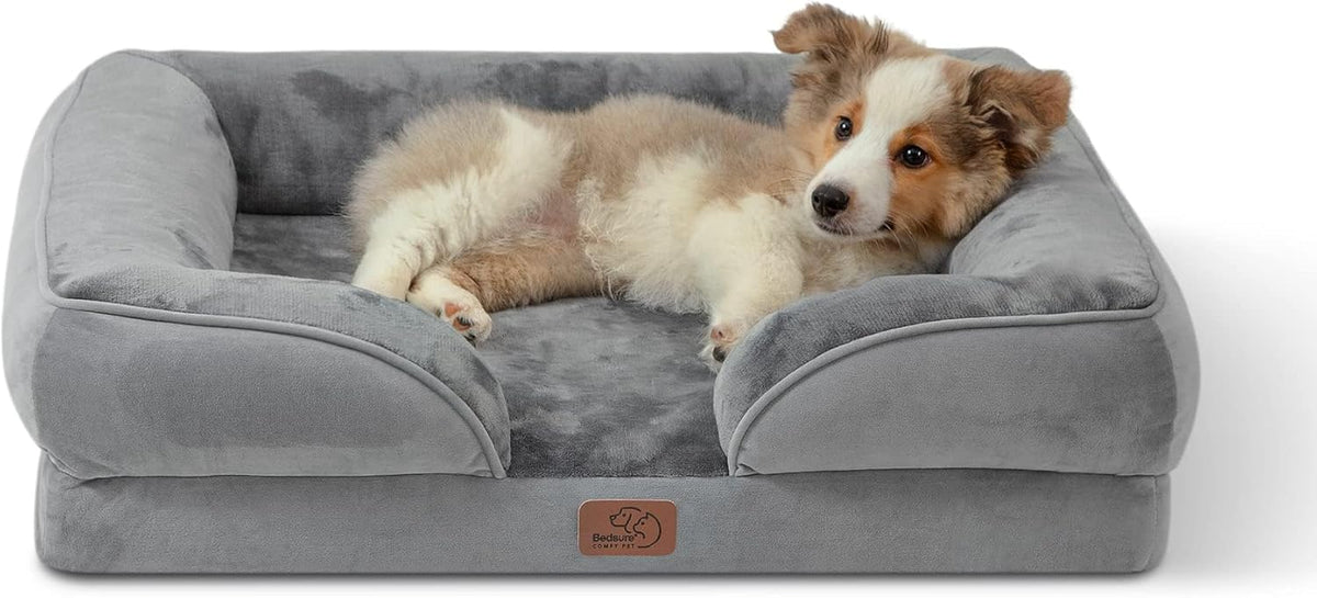 Gray bolstered dog bed with a young tri-colored puppy resting on the cushion