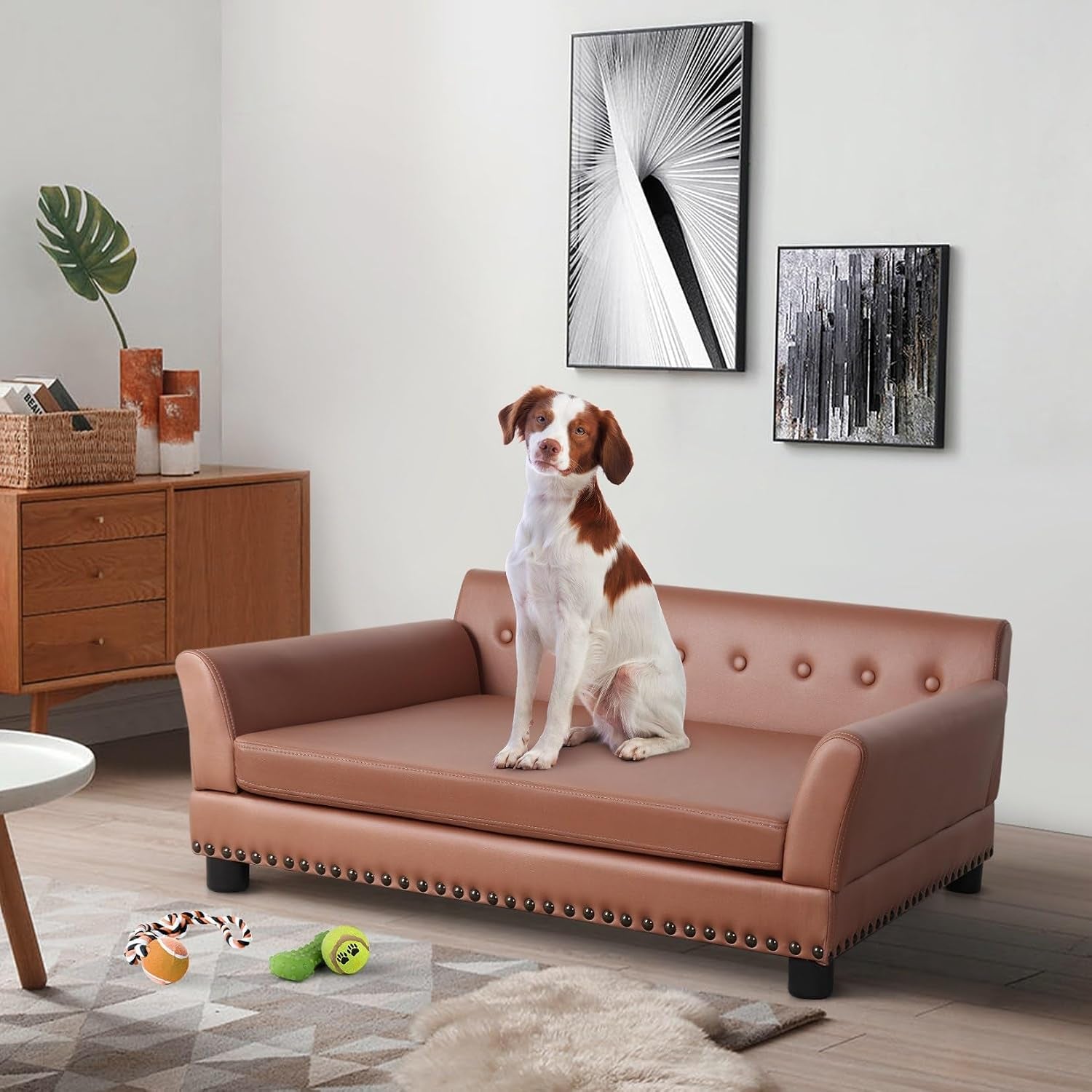 Main room shot: brown leather pet sofa with a small brown-and-white dog seated, toys on rug.