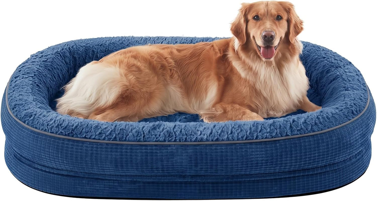 Blue oval bolstered dog bed with a golden retriever lying and looking toward camera