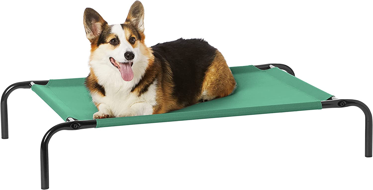 Corgi resting on a raised green mesh-style pet bed supported by a black metal frame.