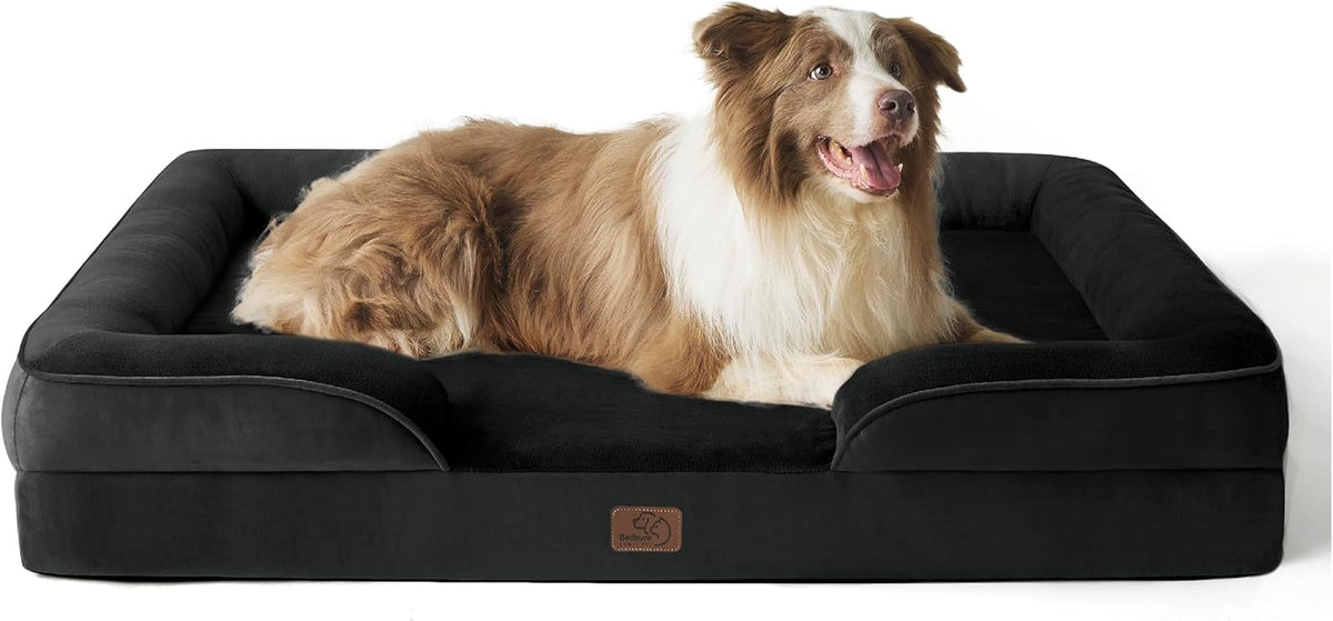 Front view of a black rectangular dog bed with raised four-sided bolsters and a brown-and-white dog lying inside