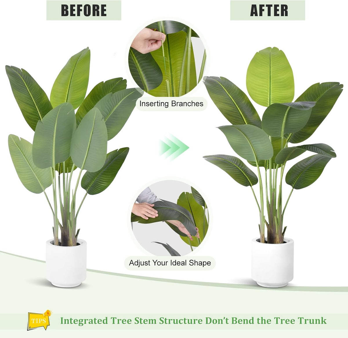 Assembly graphic showing inserting branches and adjusting leaves to shape the Bird of Paradise faux plant